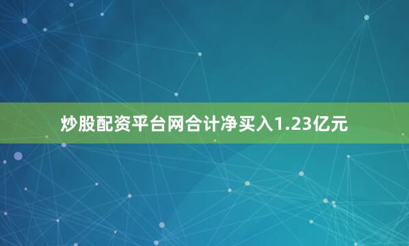 炒股配资平台网合计净买入1.23亿元